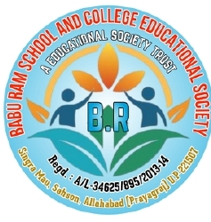 BR MANAV SEVA TRUST